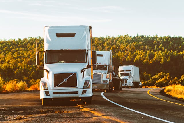 Treaty Oak Launches Digital<i>Edge</i> Policy To Support Rapid Growth