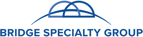 Bridge Specialty Group
